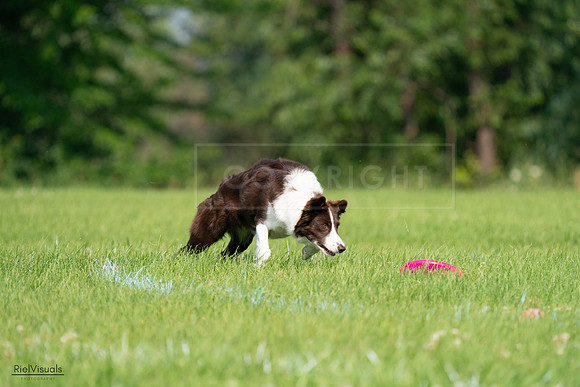 RielVisuals_20240727_095817_SJR08134