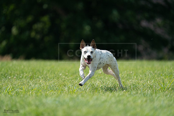 RielVisuals_20240728_151530_SJR00402