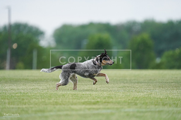RielVisuals_20240525_170043_SJR05788