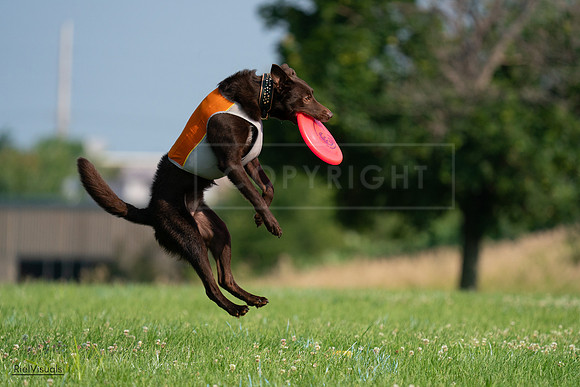 RielVisuals_20240727_092457_SJR06206