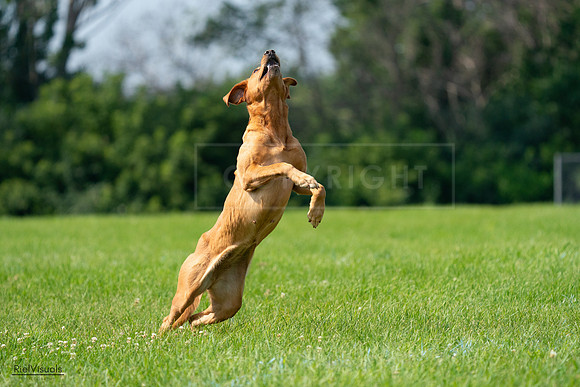 RielVisuals_20240728_104009_SJR08825