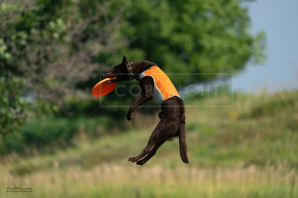 RielVisuals_20240728_095827_SJR06799