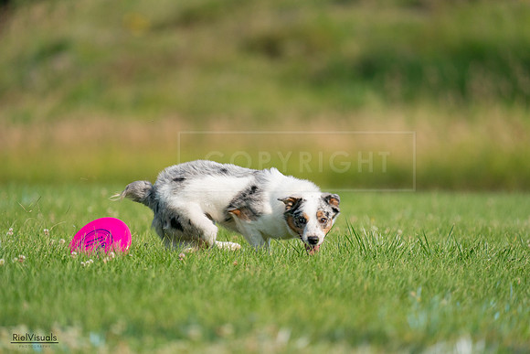RielVisuals_20240727_092228_SJR06062