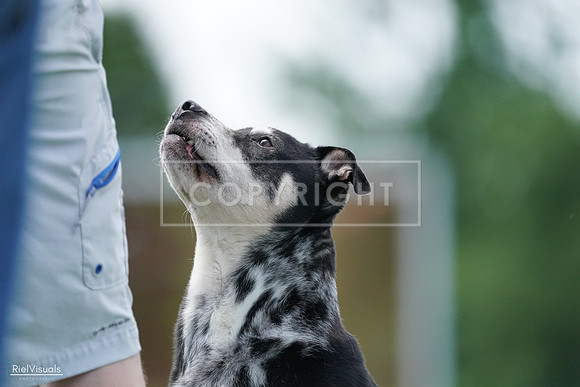 RielVisuals_20240525_123045_SJR00076