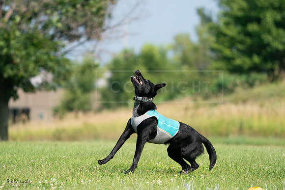 RielVisuals_20240728_100758_SJR07297
