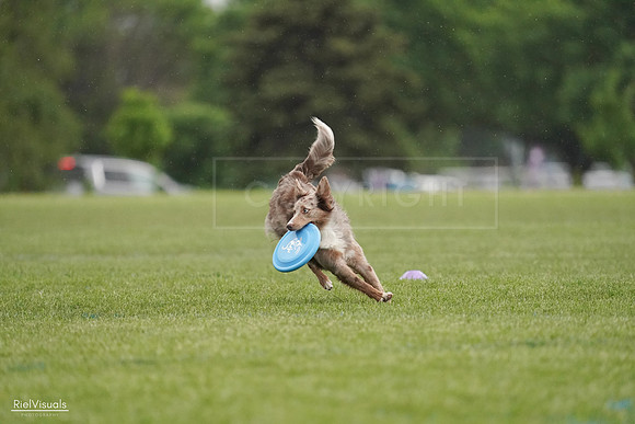 RielVisuals_20240526_092613_SJR00024