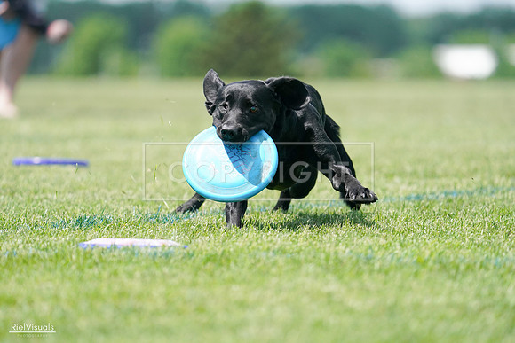 RielVisuals_20240525_121118_SJR09053