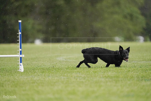 RielVisuals_20240526_092257_SJR09792
