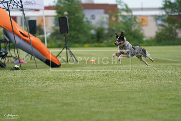 RielVisuals_20240525_164212_SJR05242