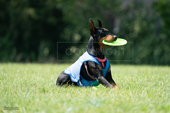 RielVisuals_20240728_151353_SJR00363