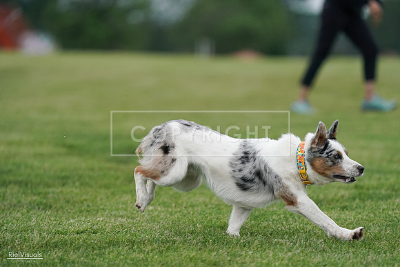 RielVisuals_20240525_165225_SJR05642