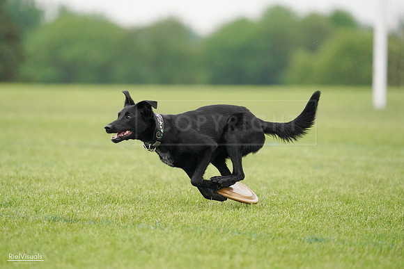 RielVisuals_20240527_110259_SJR02672
