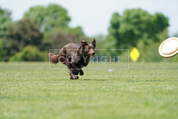 RielVisuals_20240525_120829_SJR08834