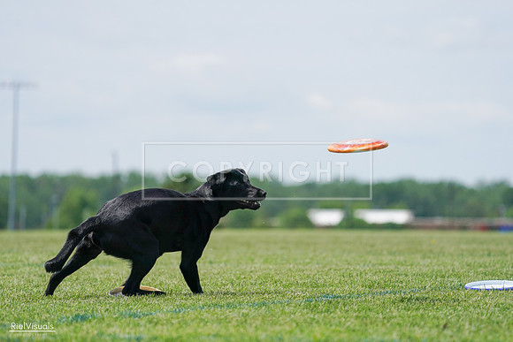 RielVisuals_20240525_123313_SJR00321