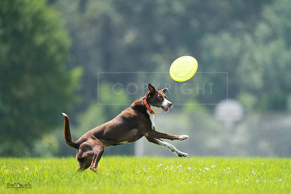 RielVisuals_20240727_123242_SJR05825