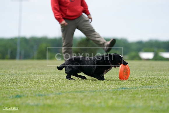 RielVisuals_20240525_124900_SJR01227
