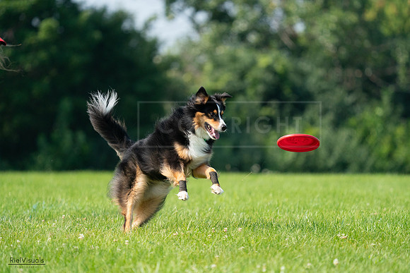 RielVisuals_20240728_100359_SJR07115