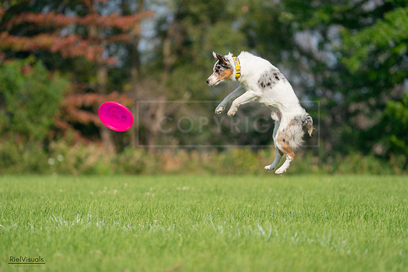 RielVisuals_20240727_092207_SJR05988