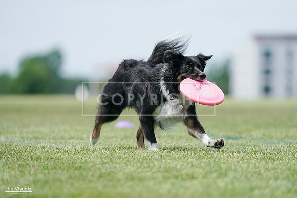 RielVisuals_20240525_123904_SJR00701
