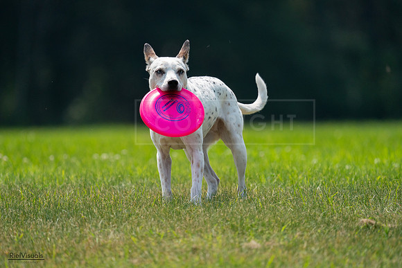 RielVisuals_20240727_120945_SJR04881
