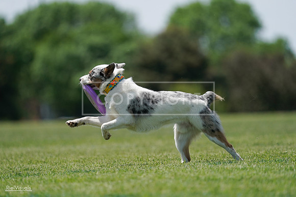 RielVisuals_20240525_121545_SJR09244