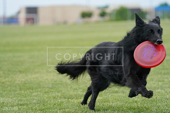 RielVisuals_20240525_164942_SJR05560