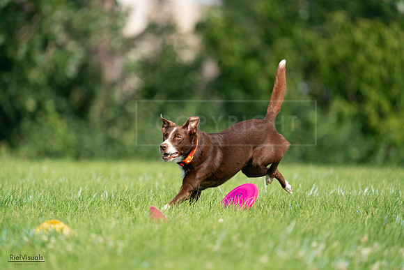 RielVisuals_20240727_100723_SJR08604