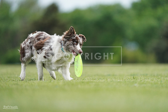 RielVisuals_20240525_161121_SJR03767