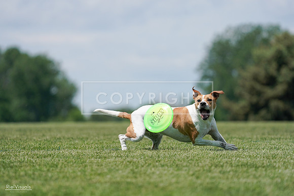 RielVisuals_20240525_121814_SJR09404