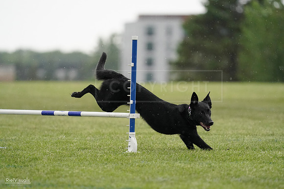 RielVisuals_20240526_092325_SJR09839