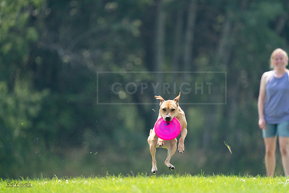 RielVisuals_20240727_121936_SJR05338