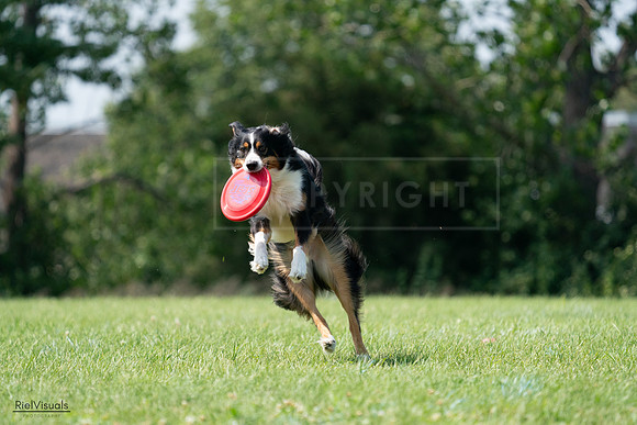 RielVisuals_20240728_144515_SJR09046