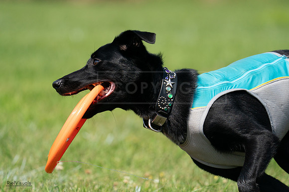 RielVisuals_20240728_114924_SJR02122