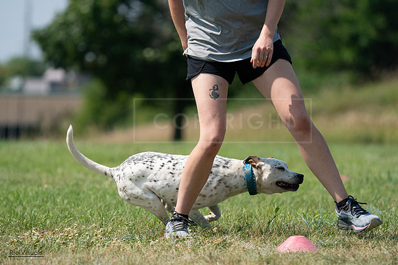 RielVisuals_20240728_151534_SJR00419