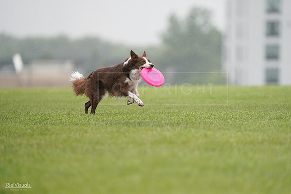 RielVisuals_20240527_104313_SJR01292
