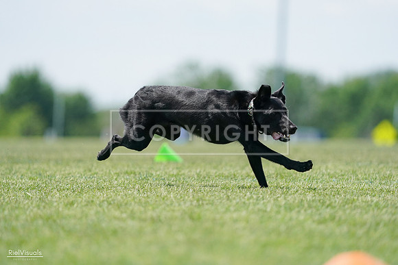 RielVisuals_20240525_122522_SJR09816
