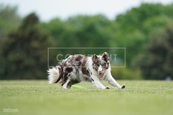 RielVisuals_20240525_161039_SJR03653