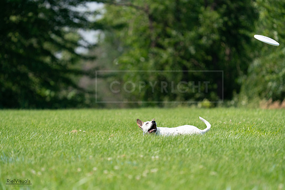 RielVisuals_20240727_134654_SJR08482