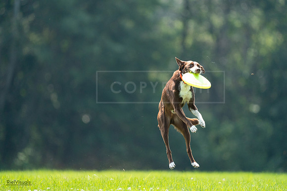 RielVisuals_20240727_121055_SJR04925
