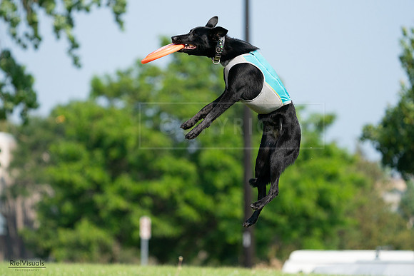 RielVisuals_20240728_100729_SJR07240