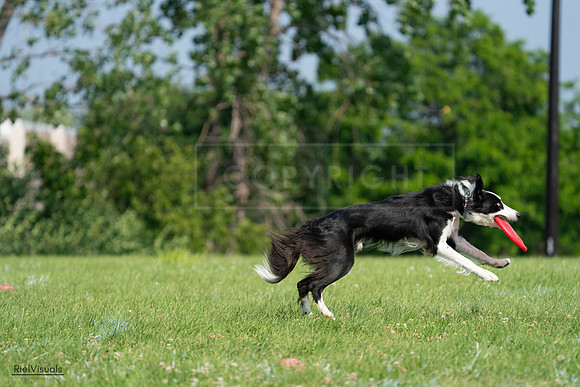 RielVisuals_20240728_095614_SJR06742