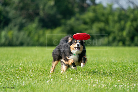 RielVisuals_20240728_100336_SJR07082