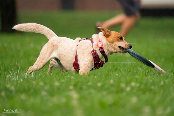 RielVisuals_20240722_201418_SJR03288