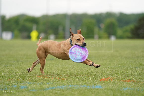 RielVisuals_20240526_131540_SJR07299