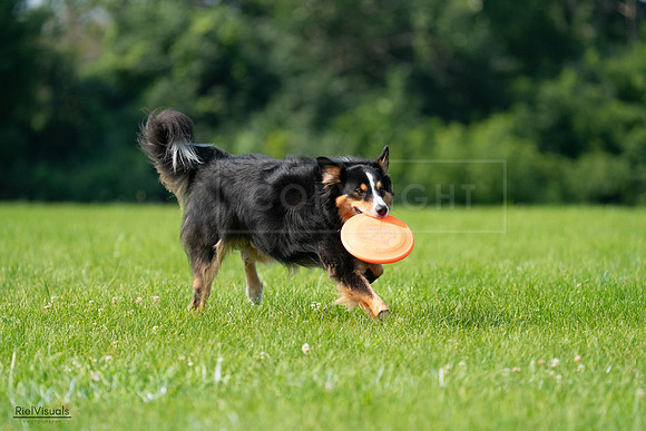 RielVisuals_20240728_100314_SJR07067