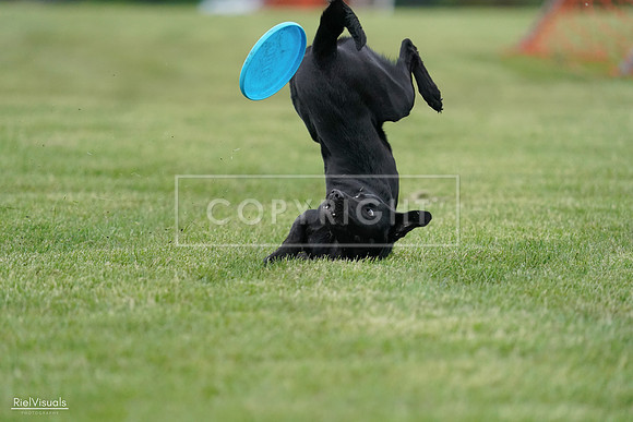 RielVisuals_20240525_170457_SJR06017