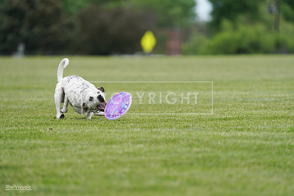 RielVisuals_20240525_160358_SJR03386