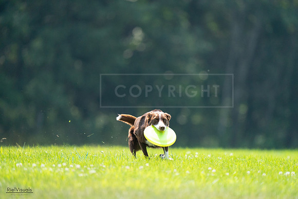 RielVisuals_20240727_123142_SJR05733