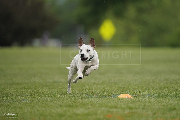 RielVisuals_20240526_090740_SJR09096
