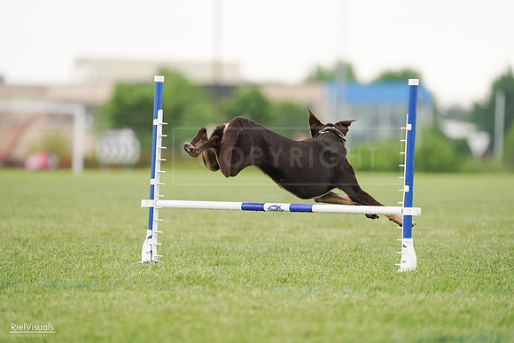 RielVisuals_20240526_095658_SJR01455